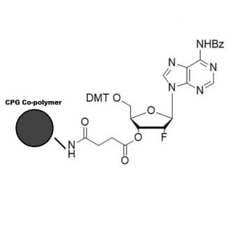 2′-Fluoro-A(Bz) Co-Polymer Coated CPG