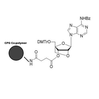 LNA A(BZ) CPG co-polymer coated