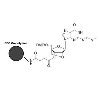 LNA G(dmf) CPG co-polymer coated