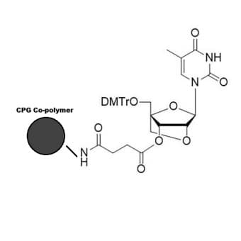 LNA T CPG co-polymer coated