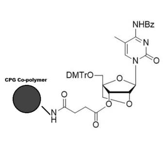 LNA c(BZ) CPG co-polymer coated
