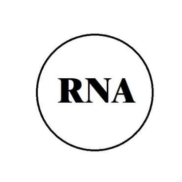 RNA CPG