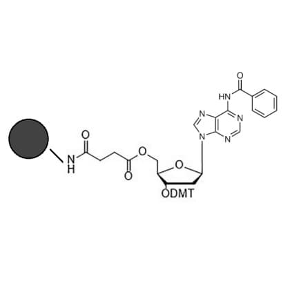 3'dmt da(bz) cpg co-polymer