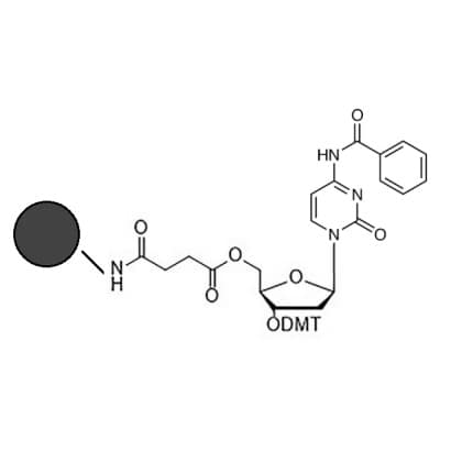 3'dmt dc(bz) cpg co-polymer