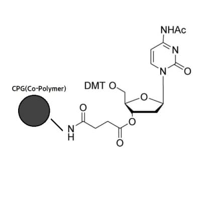 dC(Ac) CPG Co-Polymer Coated