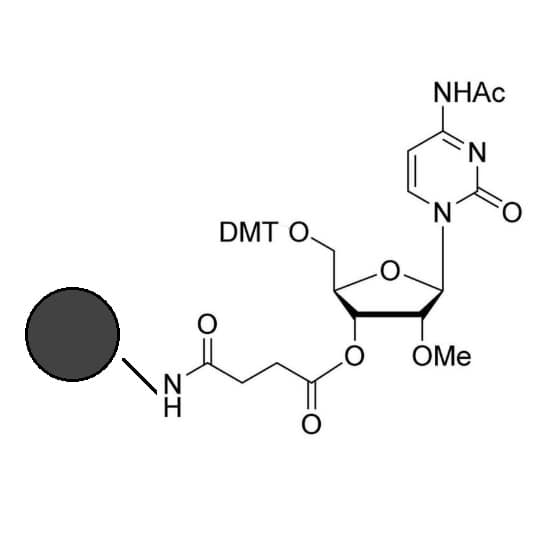 2'-O-Methyl CPG copolymer with rc(ac)
