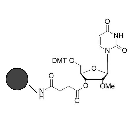 2'ome ru co-polymer coated cpg