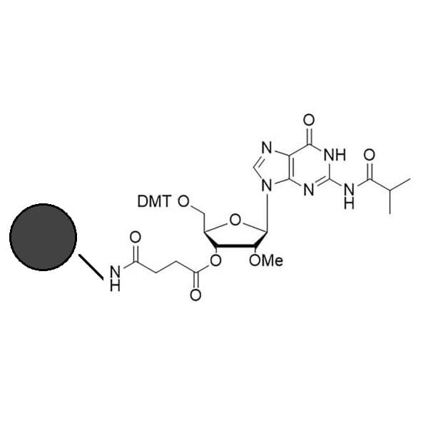 2’ome rg(ibu) co-polymer coated cpg