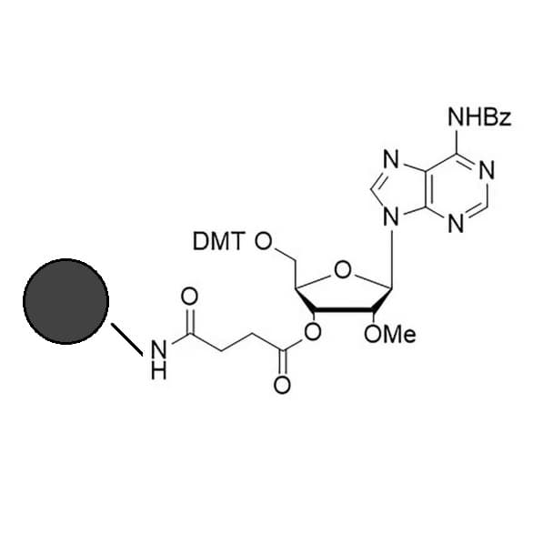 2'ome ra(bz) co-polymer coated cpg