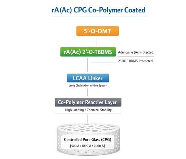rA(Ac) CPG co-polymer coated