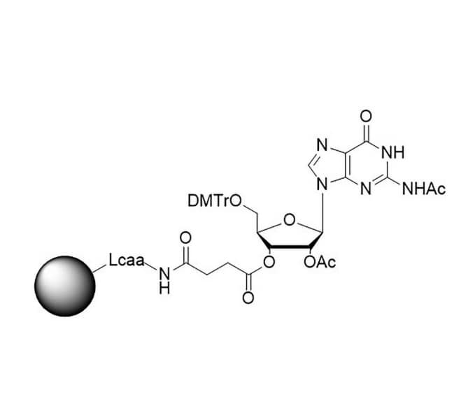 rC(Ac) 2'-OAC CPG Co-polymer coated