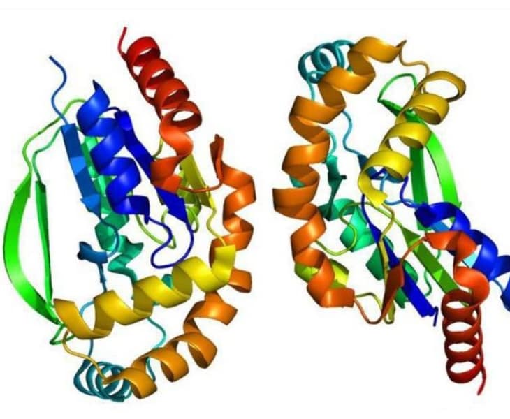 Reverse CPG for oligo