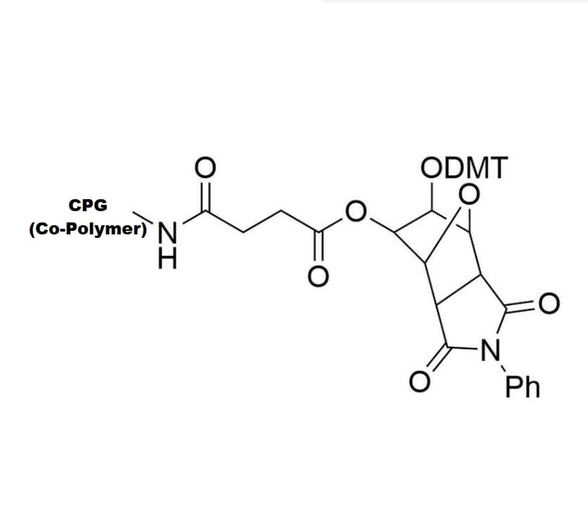 Universal CPG Solid Support ( Co-Polymer Coated)